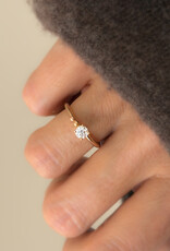 Atelier Maison Revive: gouden bolletjes