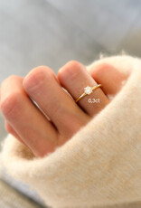 Atelier Maison The Big Promise ring | kleine diamant | vanaf