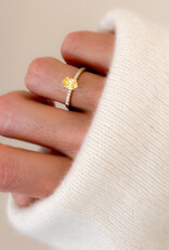 Atelier Maison 18 karaat geel goud | maat 52