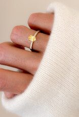 Atelier Maison personaliseer de Wonderland Color ring naar wens