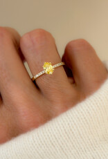Atelier Maison personaliseer de Wonderland Color ring naar wens