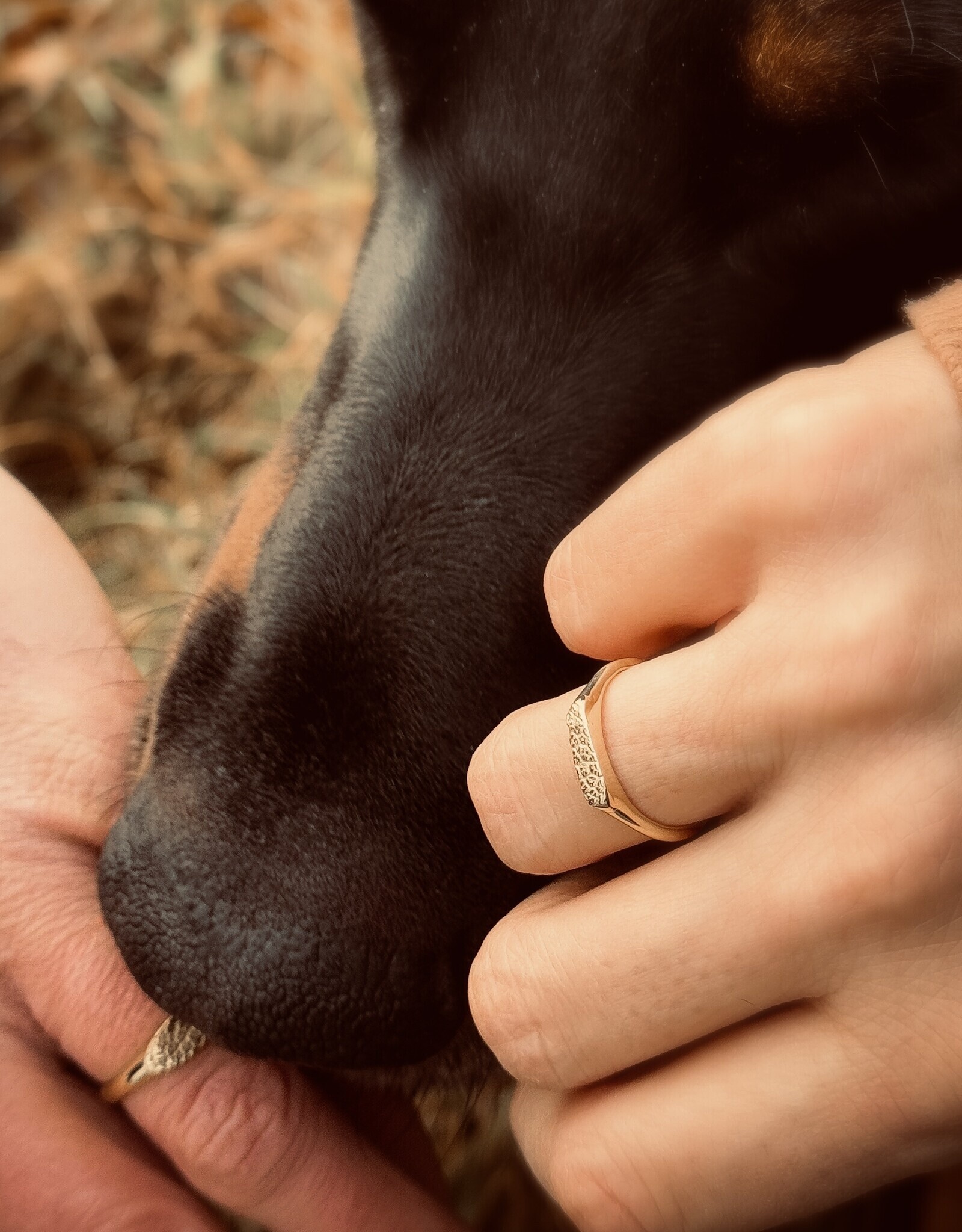 Atelier Maison Snoot Dog ring