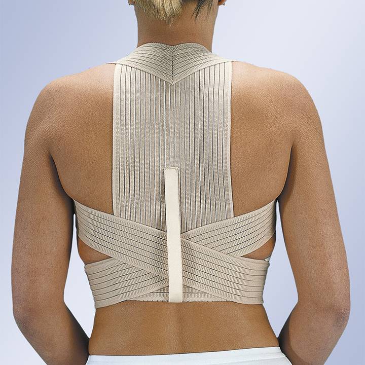 Orliman Ventilerende Rechthouder huismerk kopen in de aanbieding Orliman Ventilerende Rechthouder huismerk kopen in de aanbieding