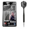 Target Target Phil Taylor Power Storm 24 gram - Dartpijlen