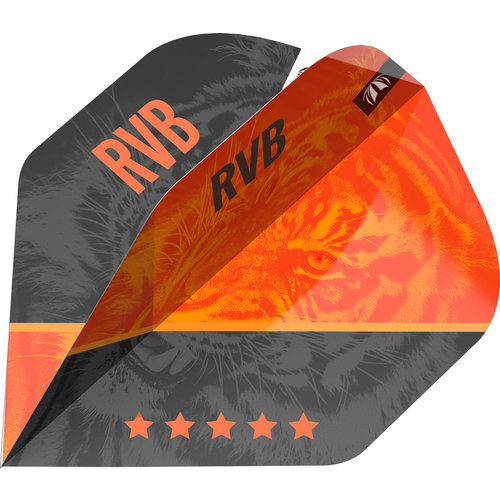 Target Target RVB G4 Pro Ultra NO2 - Dart Flights