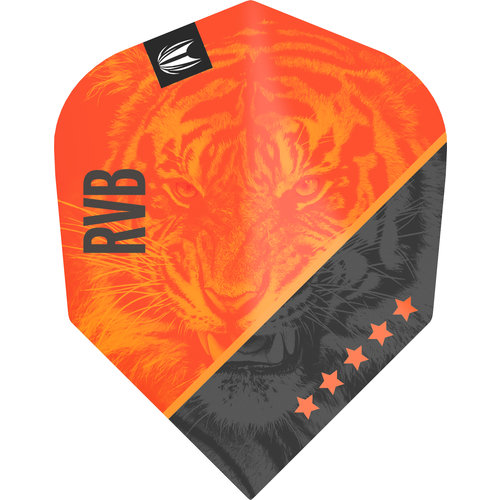 Target Target RVB G4 Pro Ultra NO6 - Dart Flights