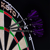 KOTO ZIZ-Wing NO2 Purple - Dart Flights KOTO KOTO ZIZ-Wing NO2 Purple - Dart Flights
