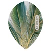 Loxley Loxley Feather Green & Gold Pear - Dart Flights
