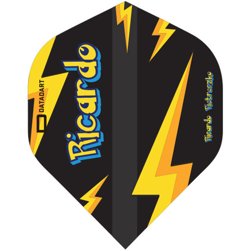 DATADART Datadart Ricardo Pietreczko Std. NO2 - Pikachu - Zwart - Dart Flights