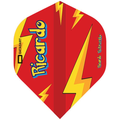 DATADART Datadart Ricardo Pietreczko Std. NO2 - Pikachu - Rood - Dart Flights