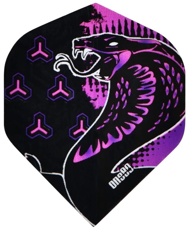 ONE80 Jelle Klaasen Dart Flights