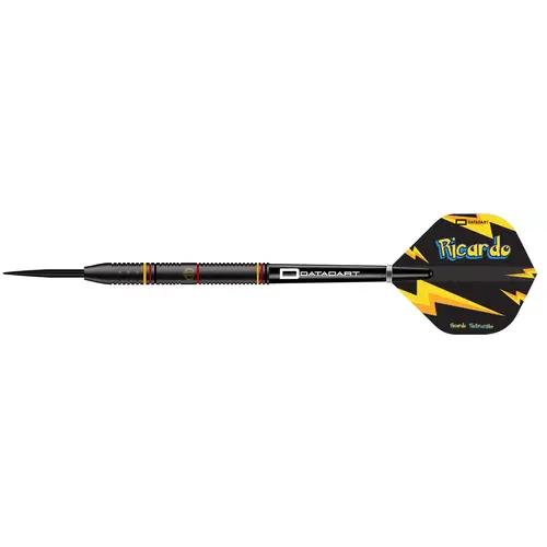 [Tweedekans] Datadart Ricardo Pietreczko 90 23 Gram