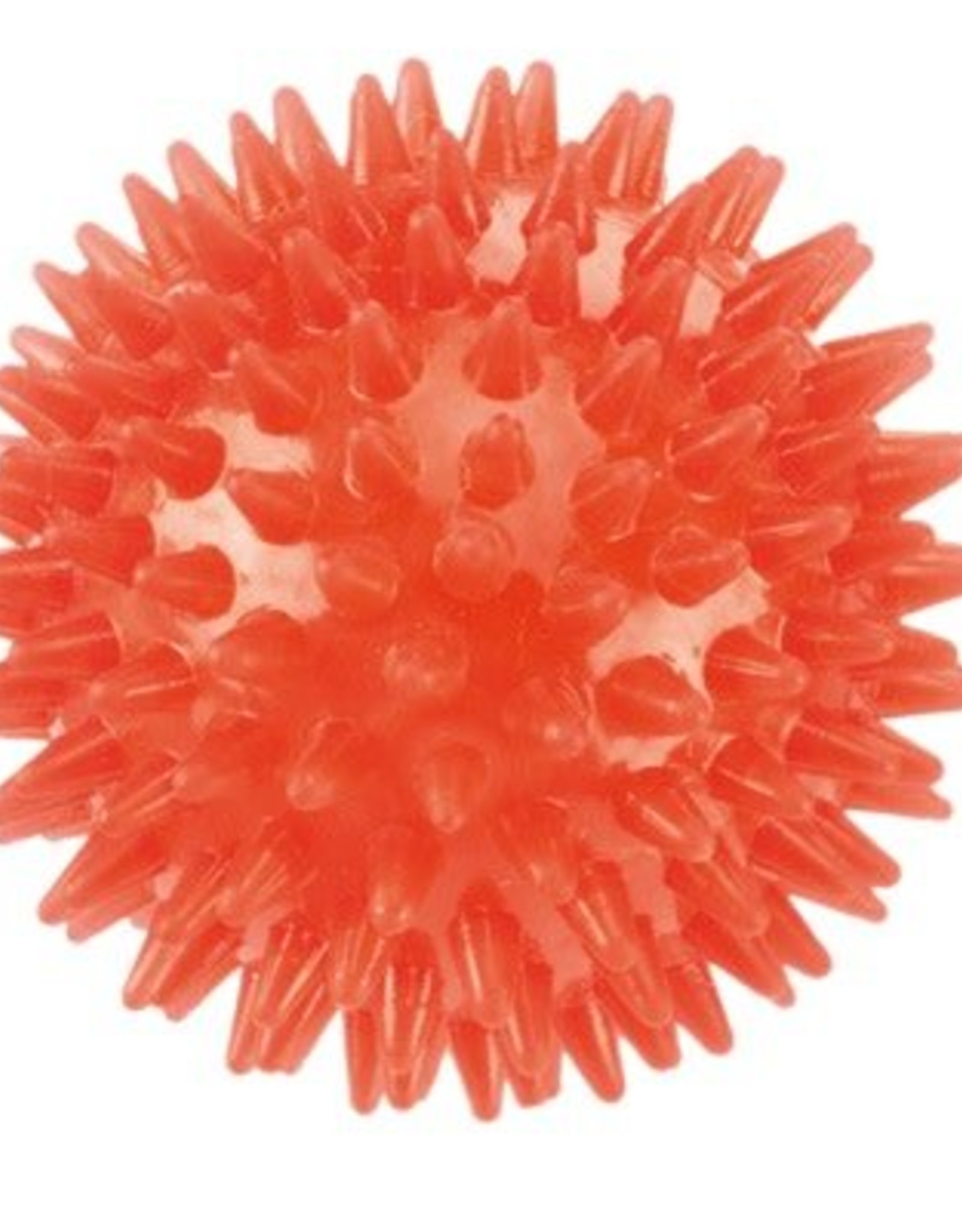 inflatable dog ball