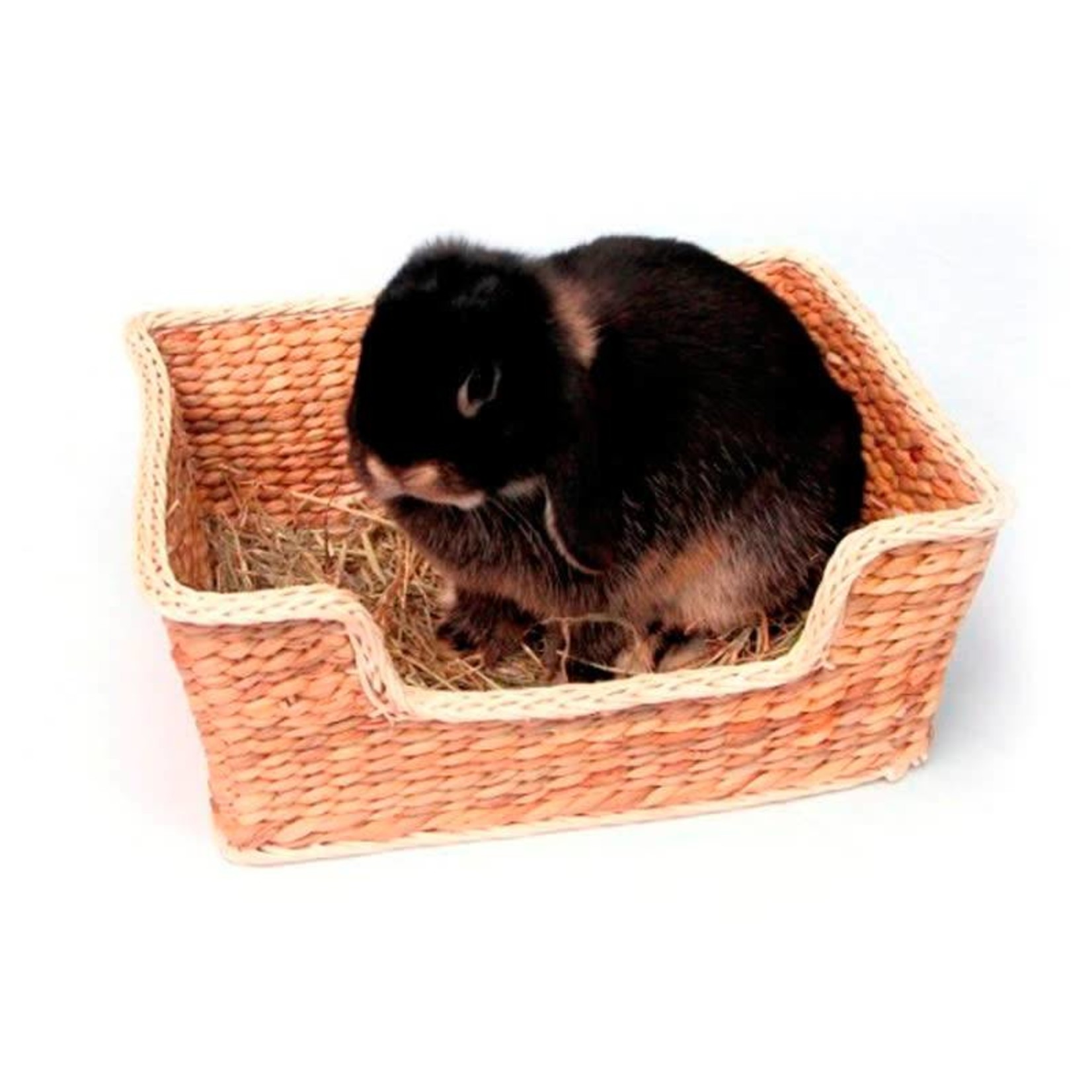 Rosewood Boredom Breaker Chill 'n' Snooze Small Animal Bed