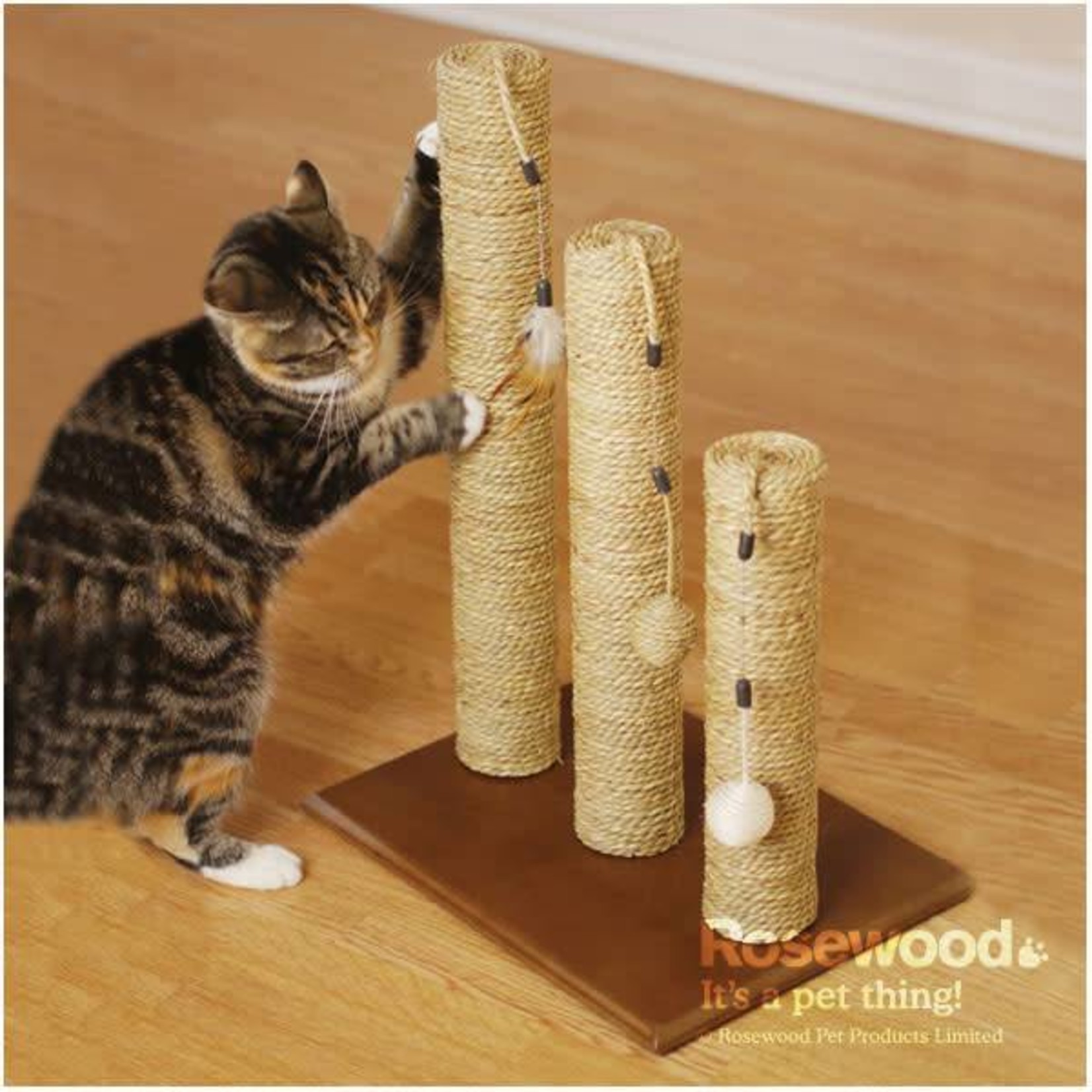 Rosewood Natural Furniture Cat Scratching Post, Tarragon