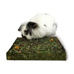 Rosewood Naturals Nibble & Dig Dandelion & Blossom Meadow Small Animal Treat