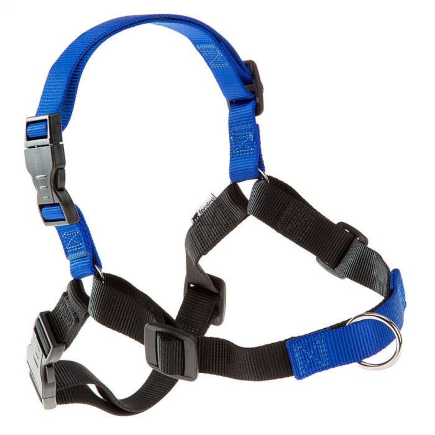 coach dog harness