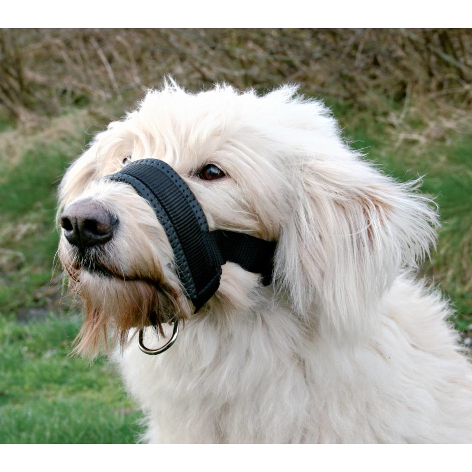 Neoprene muzzle sales