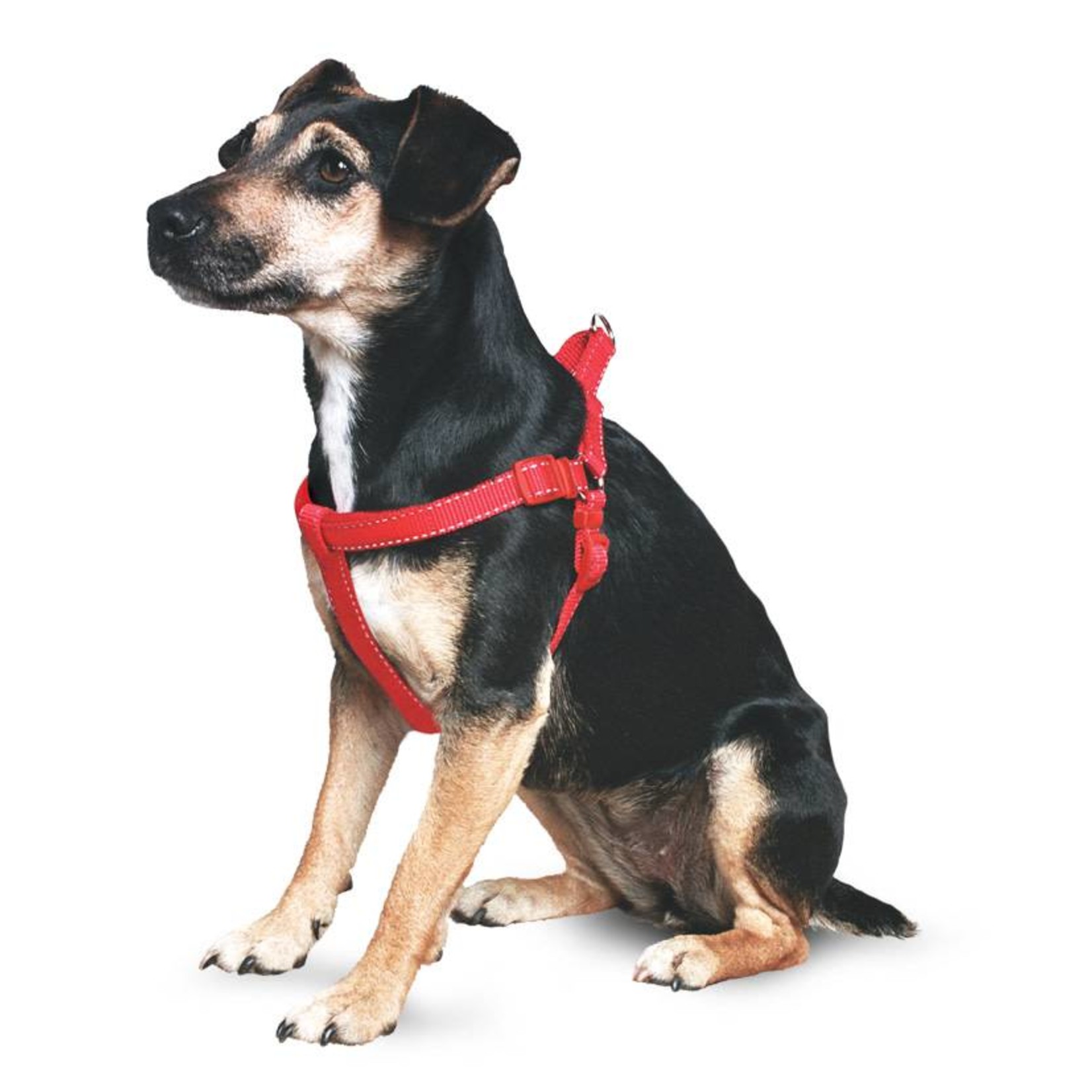 Ancol Heritage Reflective Padded Nylon Dog Harness, Red