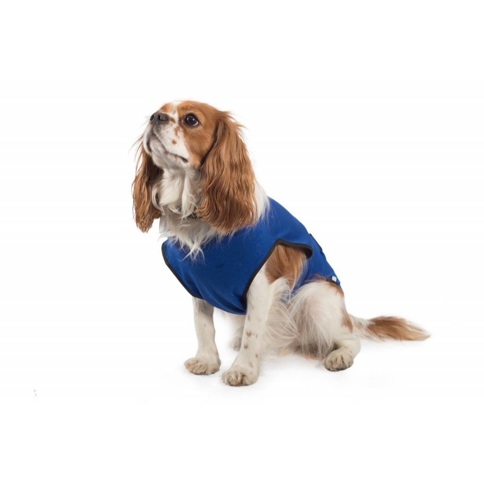 Ancol Dog Cooling Vest