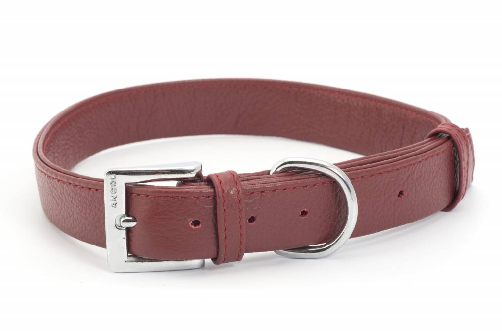 Ancol indulgence cheap collar