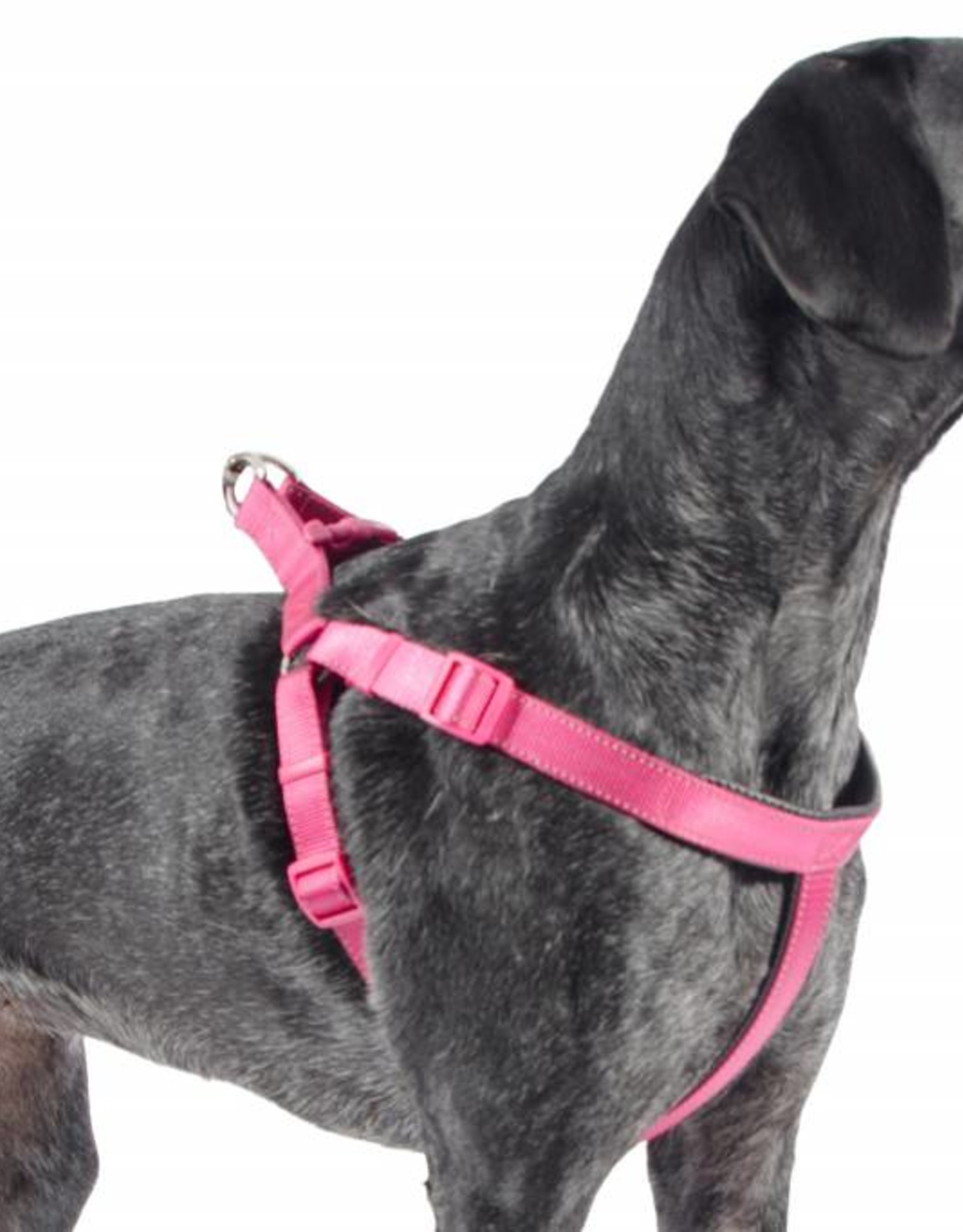 ancol puppy harness