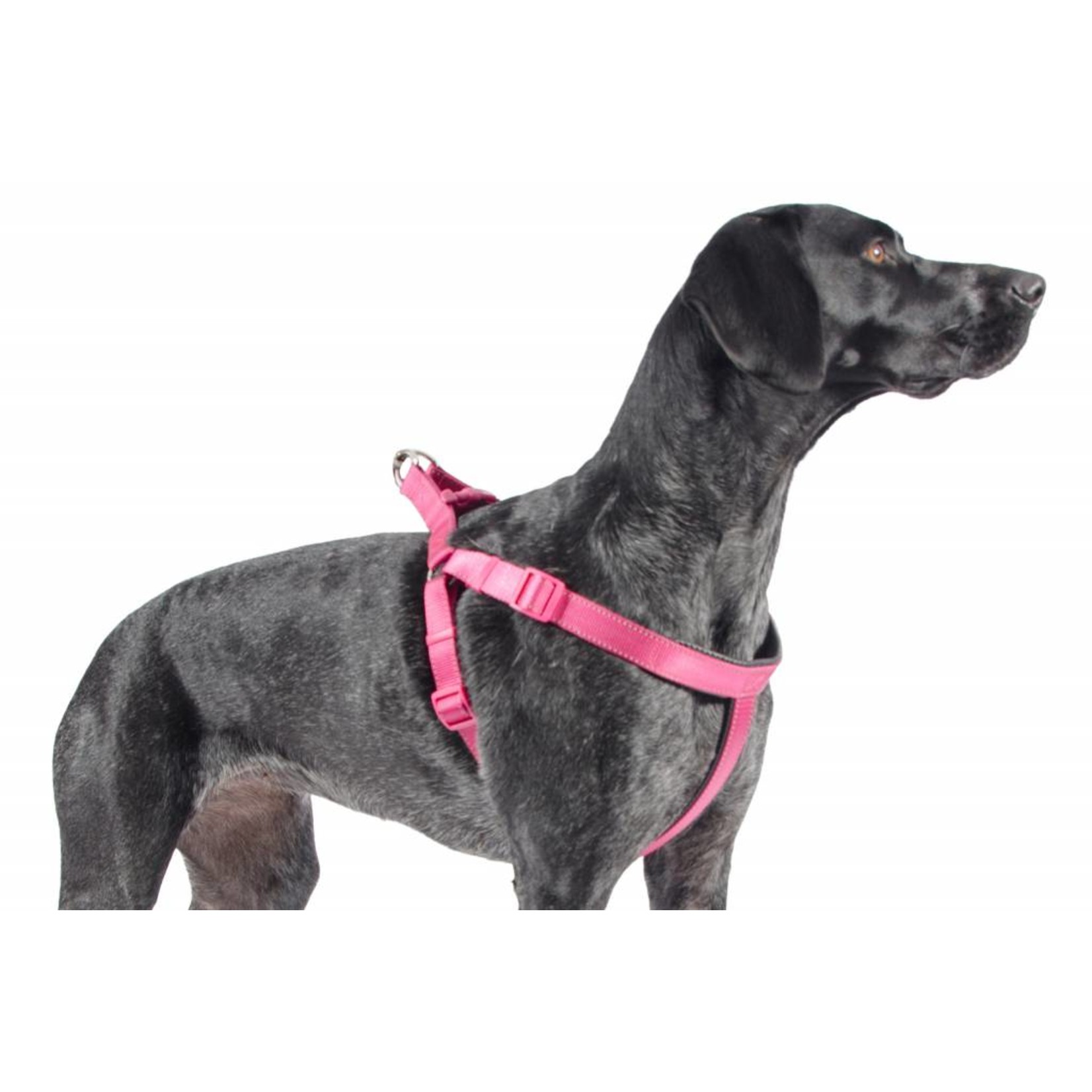 heritage dog harness