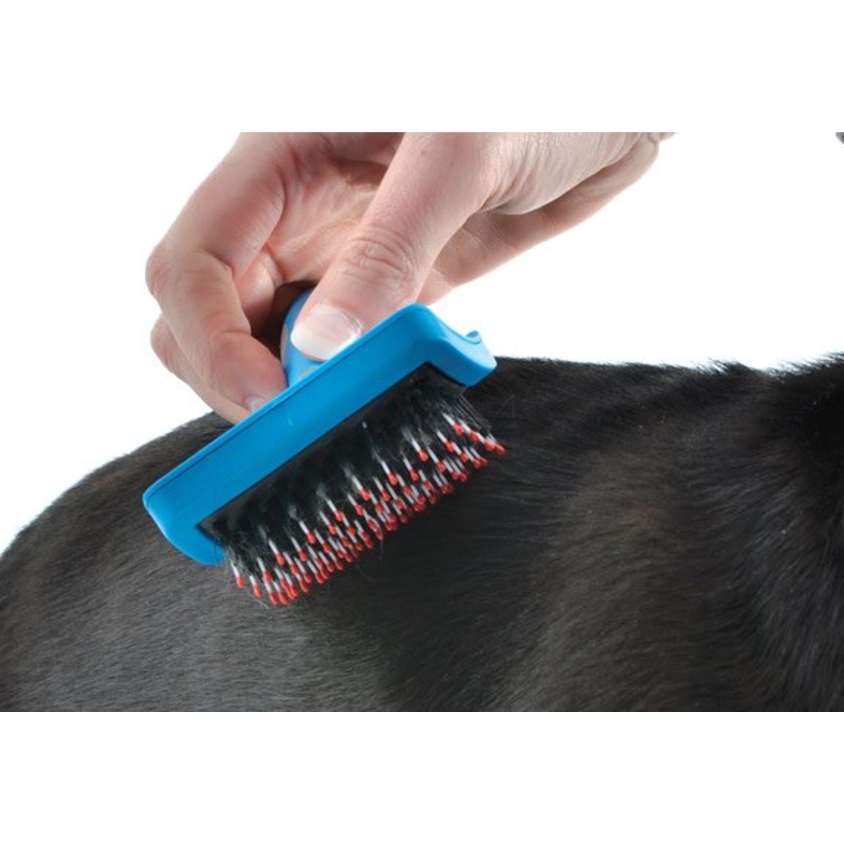Ancol Ergo Hedgehog Slicker Dog Brush, Medium