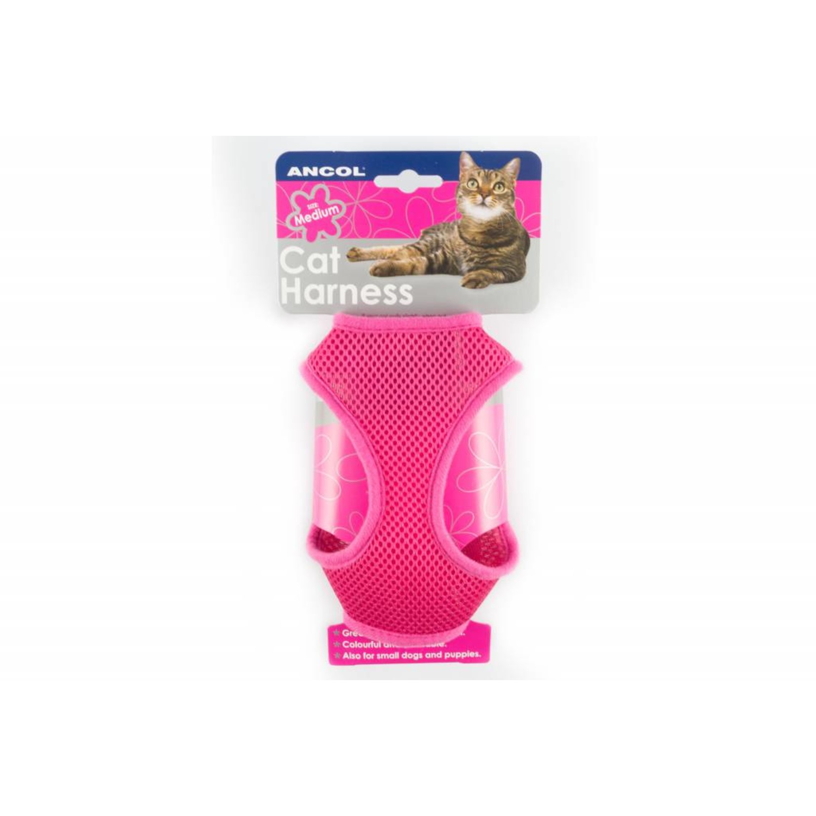 Ancol hotsell cat harness