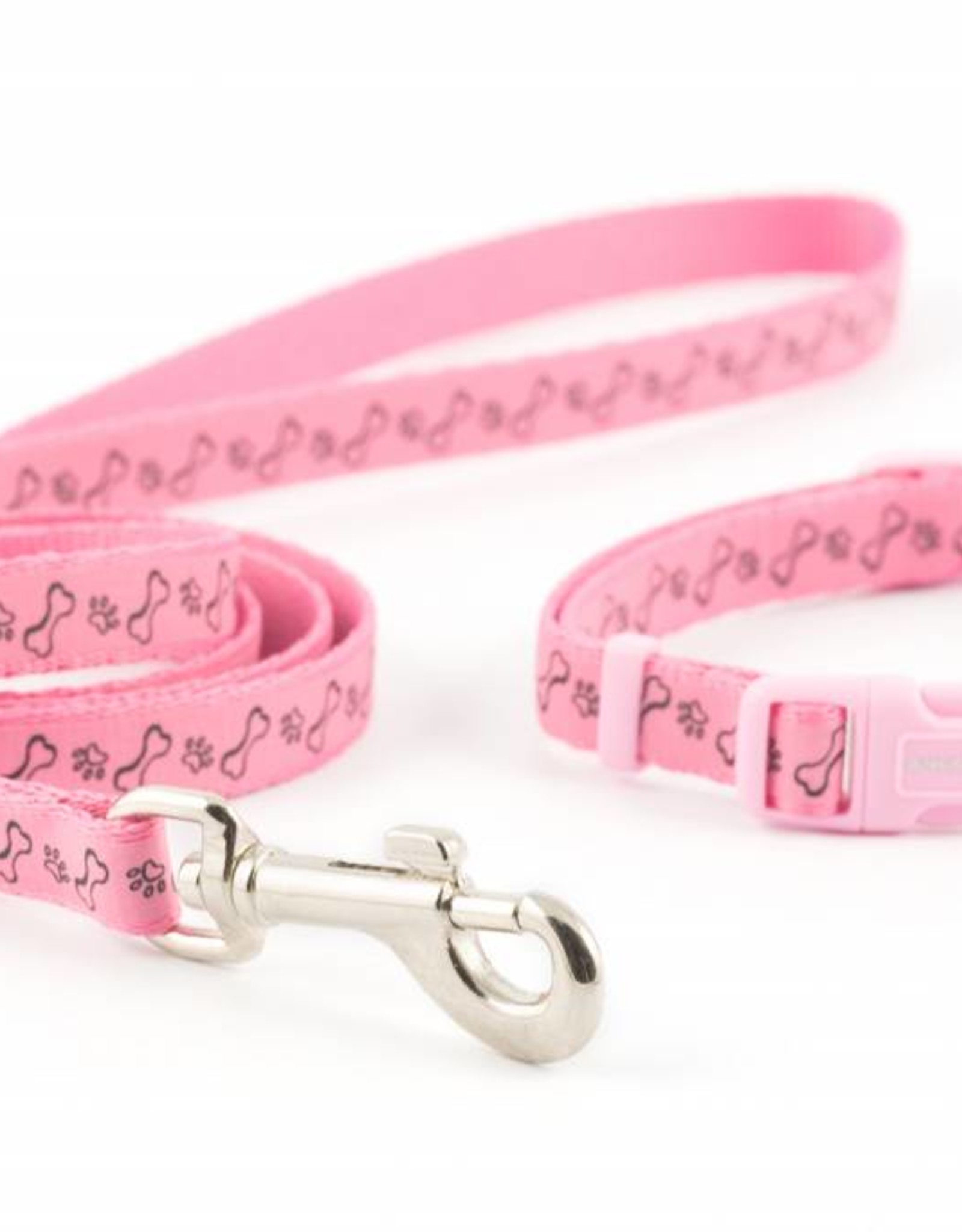 small puppy collars and leads