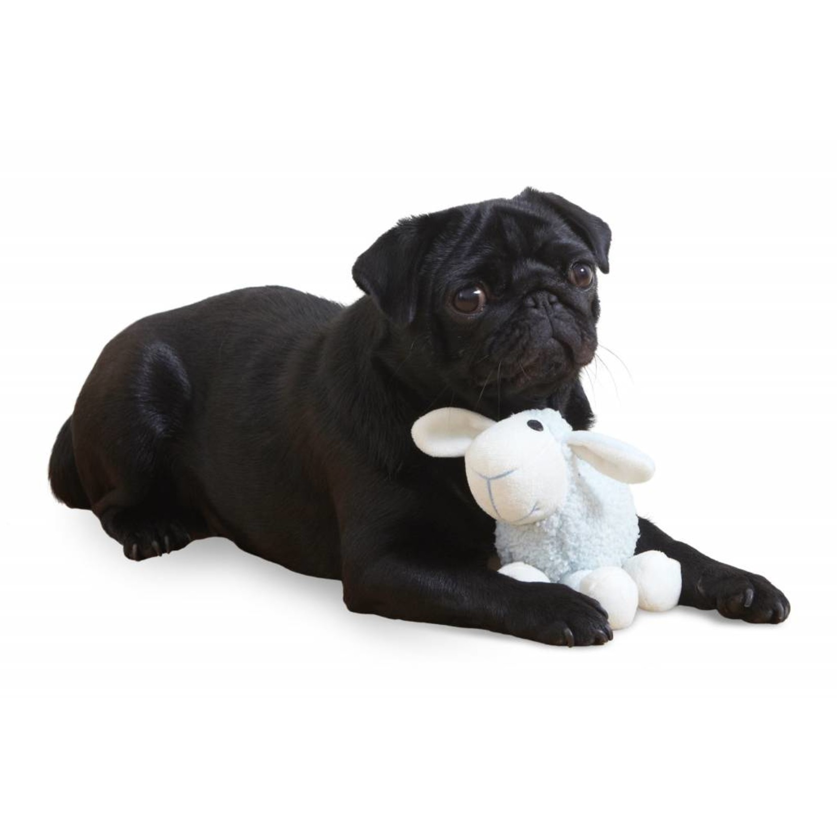 Small Bite Plush Lamb Dog Toy Pet Care By Post