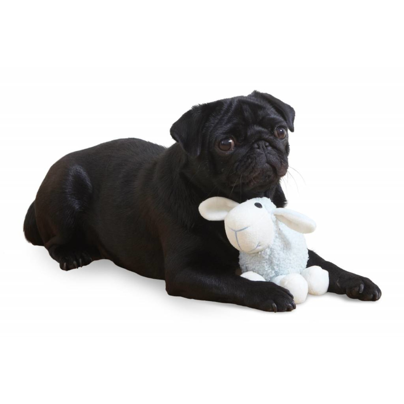 Ancol Small Bite Plush Lamb Dog Toy, lilac