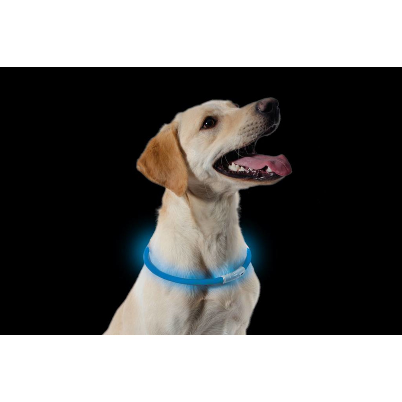 Ancol USB Dog Flashing Safety Band Collar, Cut to size