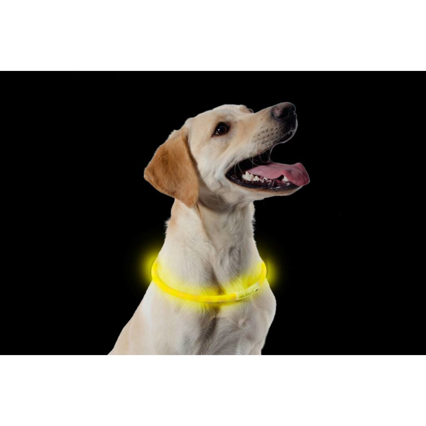 Ancol USB Dog Flashing Safety Band Collar, Cut to size