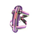 EzyDog Chest Plate Dog Harness with Seat Belt Loop, Bubble Gum