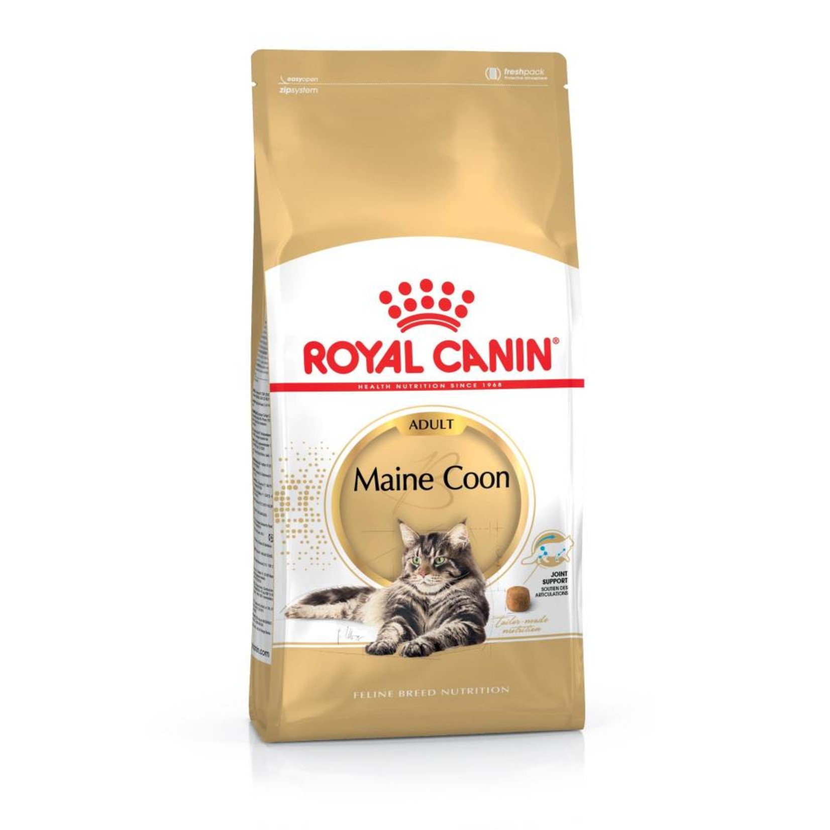 Royal Canin Maine Coon Adult Cat Dry Food