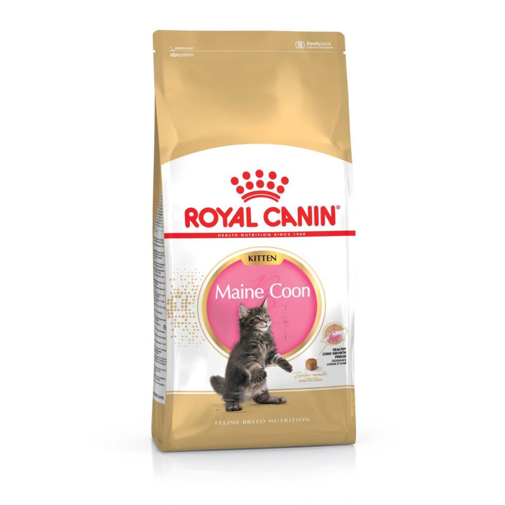 Royal Canin Maine Coon Kitten Dry Food