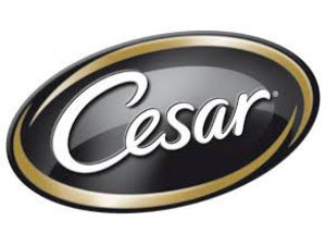 Cesar