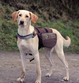 dog running backpack