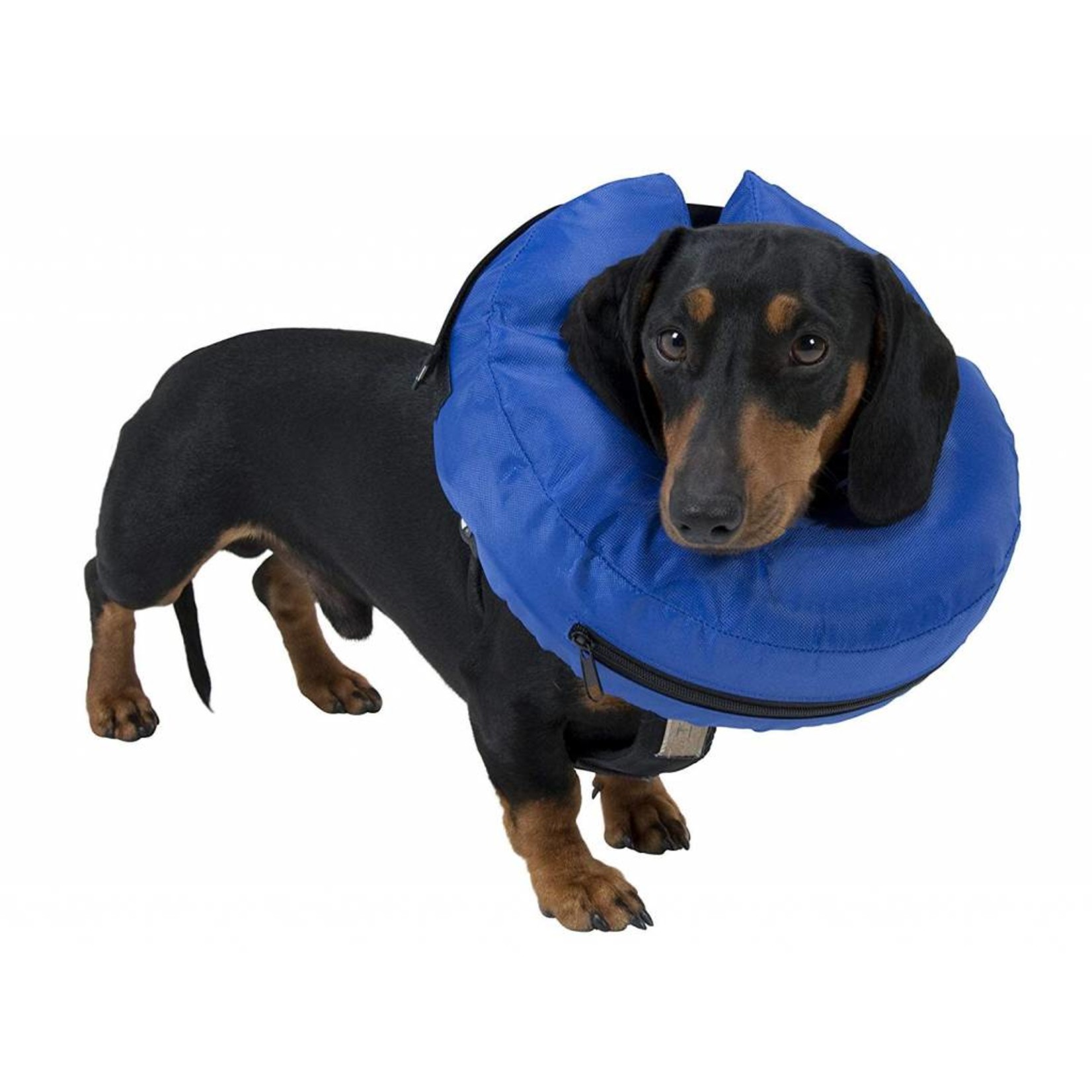 Buster Inflatable Post-op Dog Collar, Blue