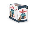 Royal Canin Royal Canin Feline Hairball Care Pouch in Gravy Wet Cat Food 85g, Box of 12