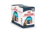 Royal Canin Urinary Care Pouch in Gravy Wet Cat Food, 85g, box of 12
