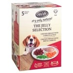 HiLife It's Only Natural Multipack in Jelly Wet Dog Food Pouch, 5 x 100g