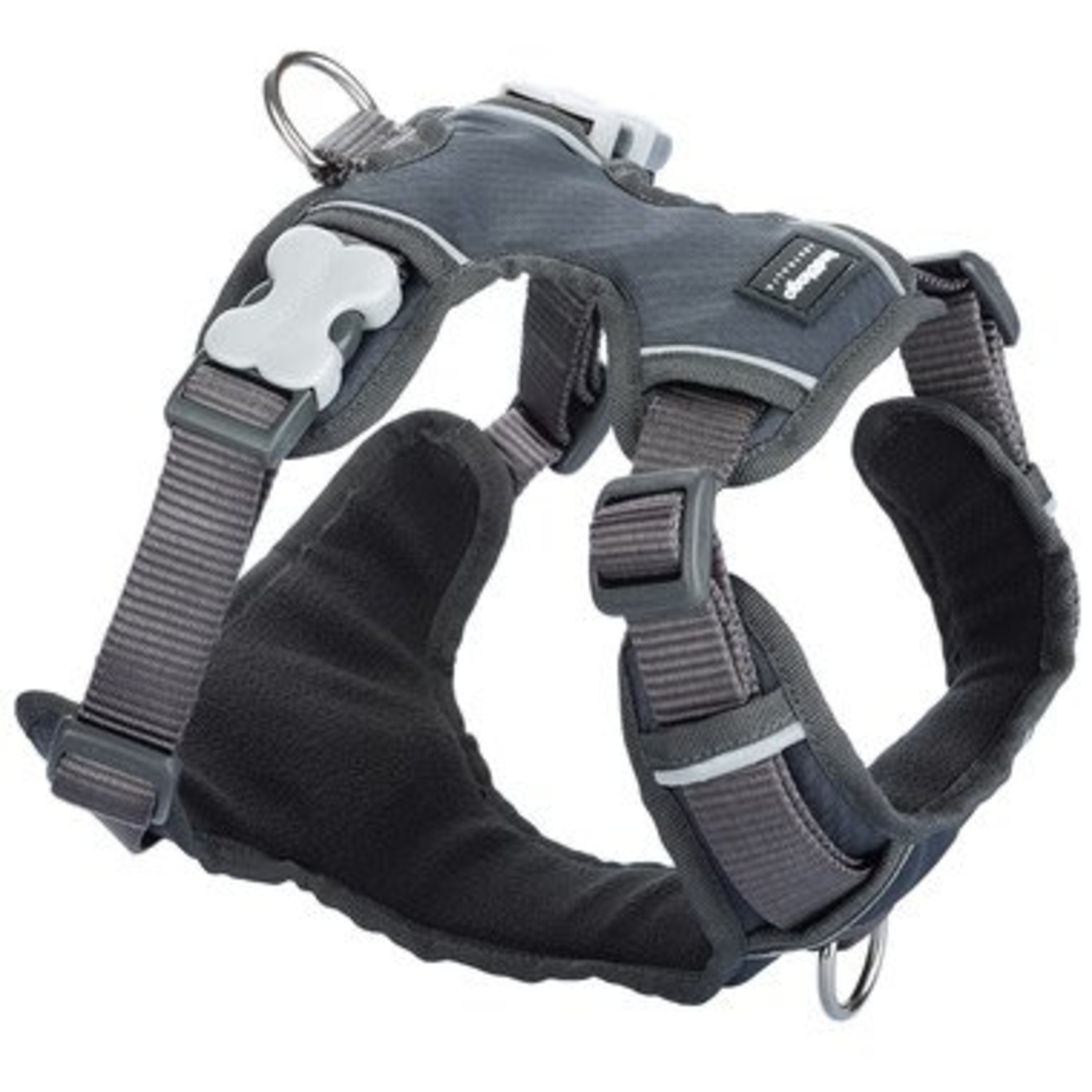 Red Dingo Padded Dog Harness