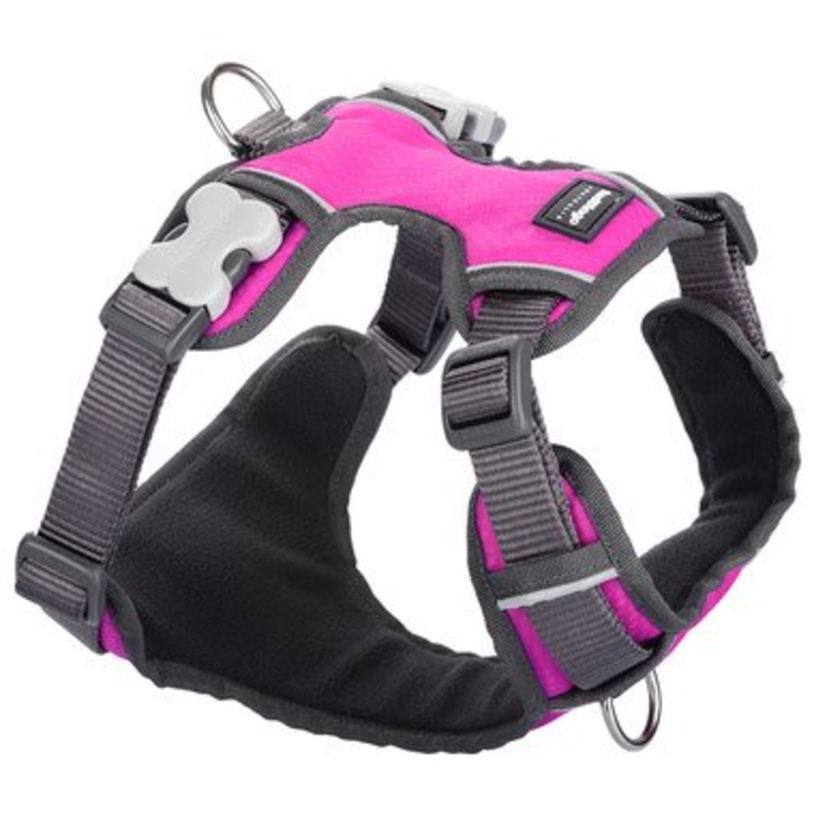 Red Dingo Padded Dog Harness