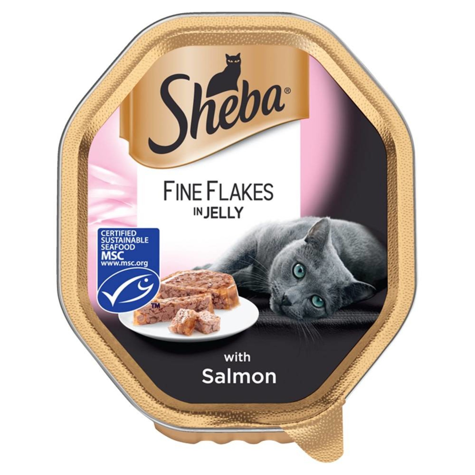 Sheba Fine Flakes Adult & Senior Cat Wet Food with Salmon in Jelly, 85g