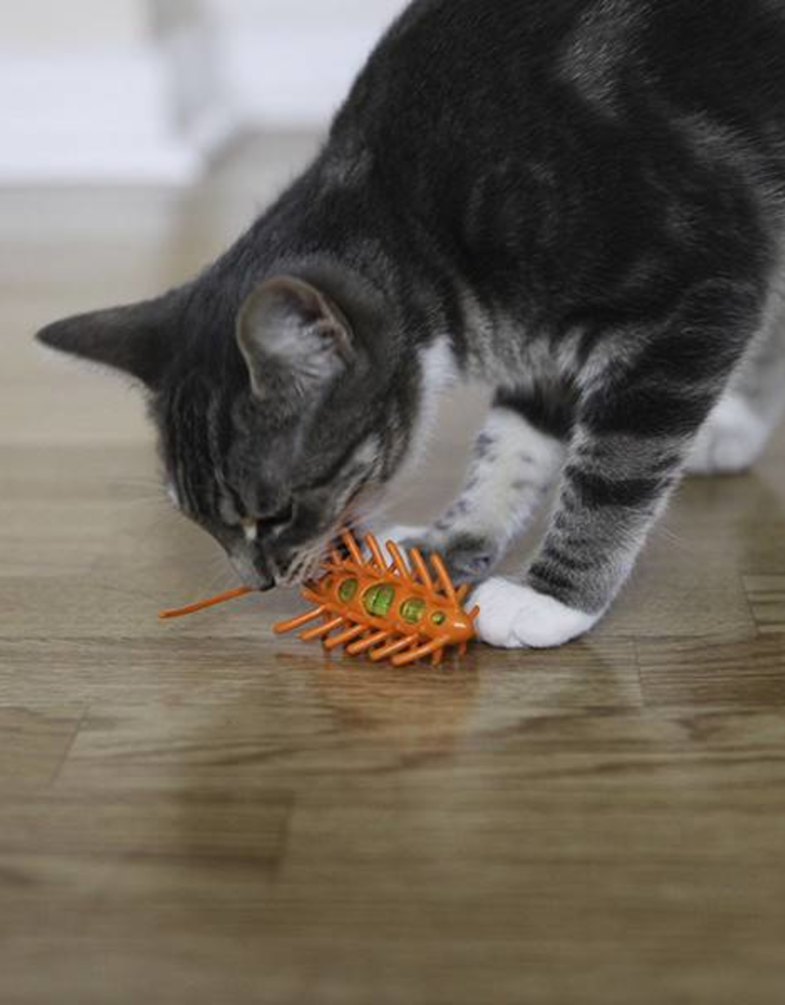 MotoMouse Vibrating Cat Toy Pet Care By Post