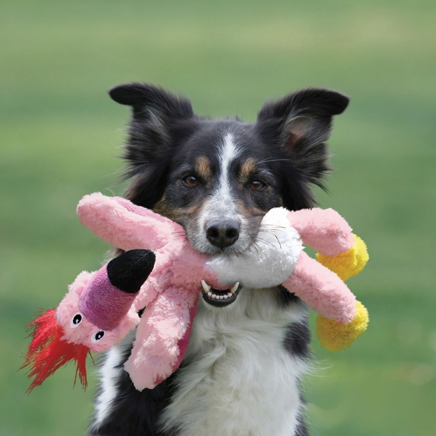 KONG Plush Wild Knots Birds Dog Toy, Small to Medium