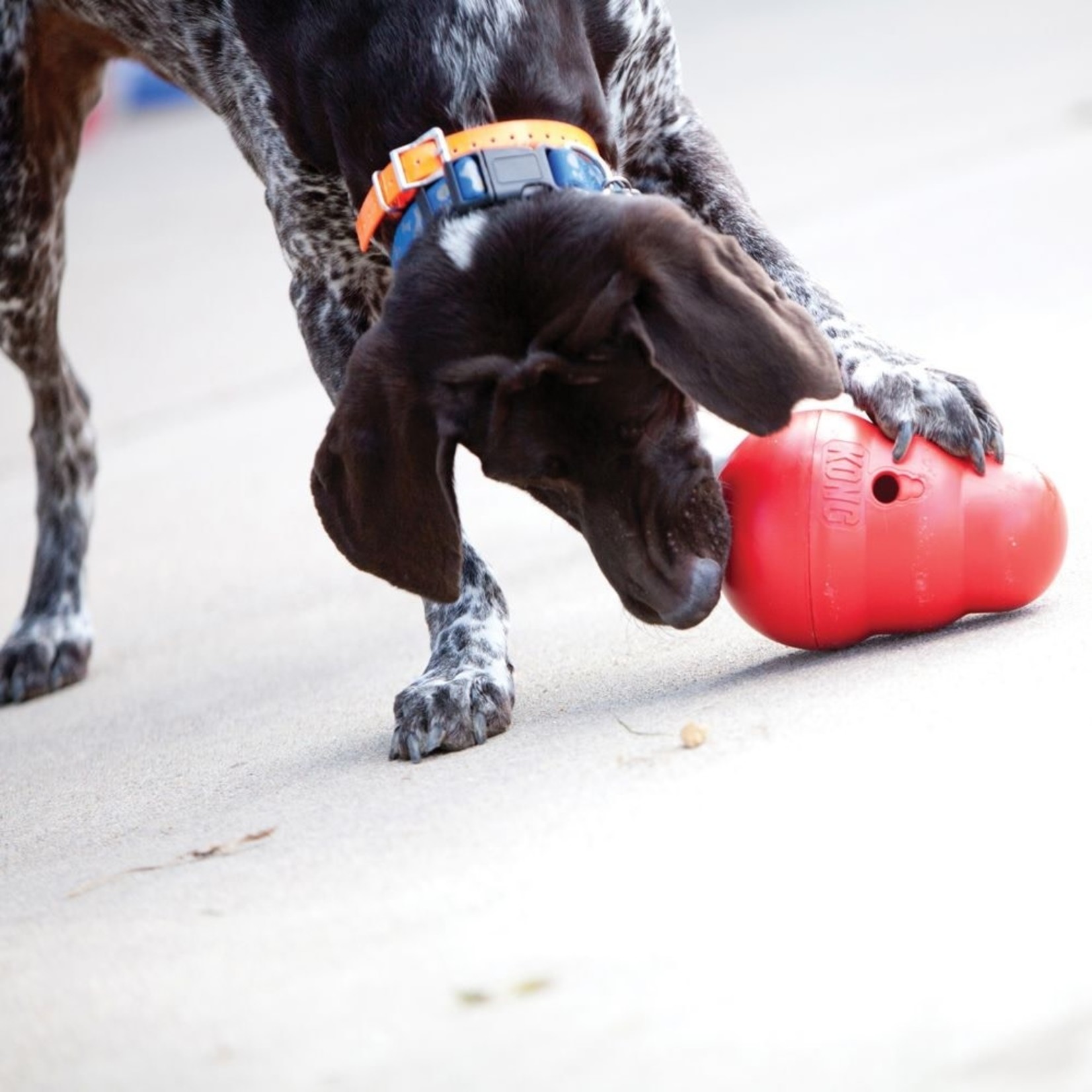 KONG Treat Wobbler Food-dispensing Toy