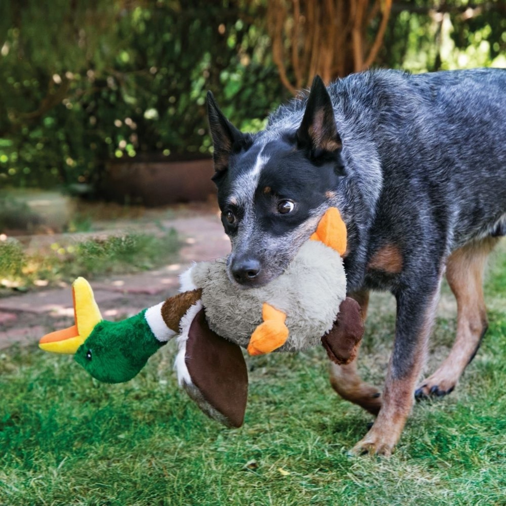 KONG Shakers Honkers Duck Plush Dog Toy